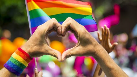 Lgbt+ Flag