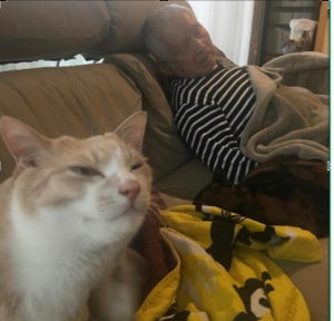 My grandfather Ryozo Shintani with his pet cat before being hospitalized in Hiroshima, Japan.

