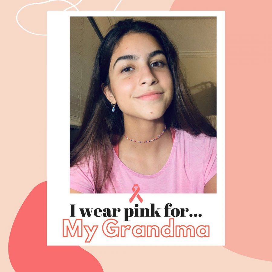 Senior Viana Rodrigues wears her pink attire in memory of her grandmother who passed from breast cancer and also to raise awareness among women in her social media campaign. 