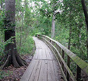 A 2-mile trail within the Houston Arboretum