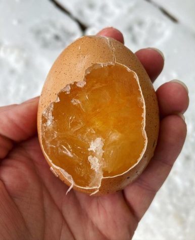 Un huevo congelado, recogido  durante la tormenta de invierno. 