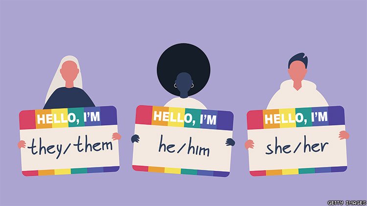 22% of CVHS students reported using non-traditional pronouns in a recent survey. 