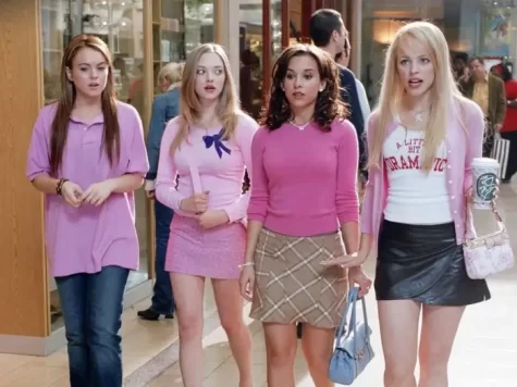 The movie Mean Girls depicts an arguably typical high school experience is a far cry from my own. 