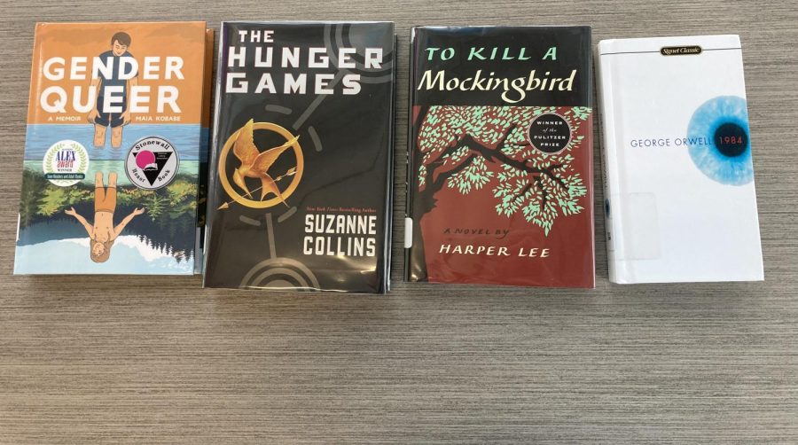 Examples of books in our library that were banned or challenged in other libraries 