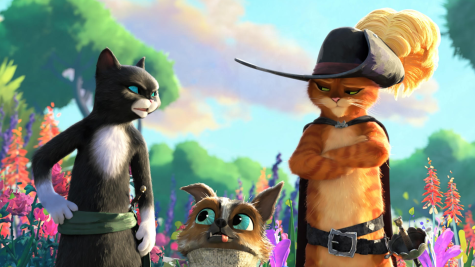 Puss in Boots, Kitty Softpaws and Perrito the Dog set out on an adventure, in search of the Wishing Star. (DreamWorks Animation)