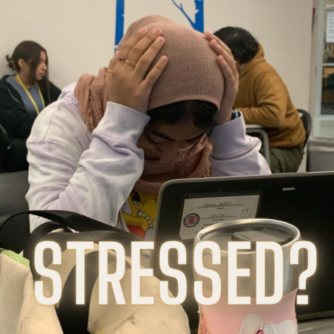 Student becomes too stressed with homework on the first week back from spring break. 