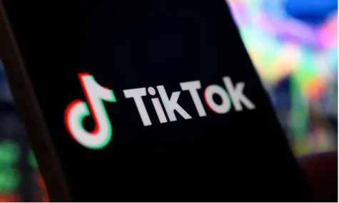 The popular app, Tiktok as seen commonly on smart devices. 
