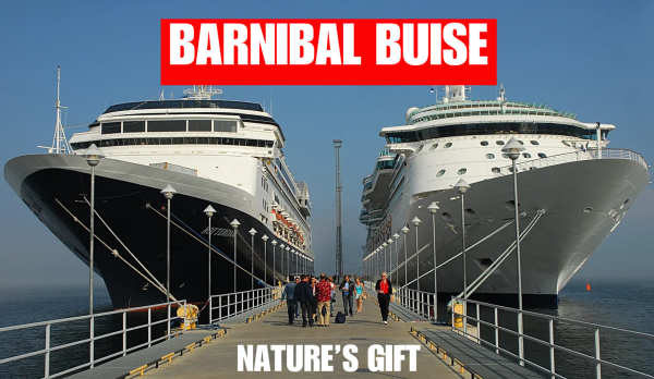 A poster for revolutionary cruise line Barnibal Buise