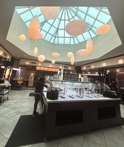 Shabu Zone main foyer and buffet. The lighting and skylight add to the warm atmosphere