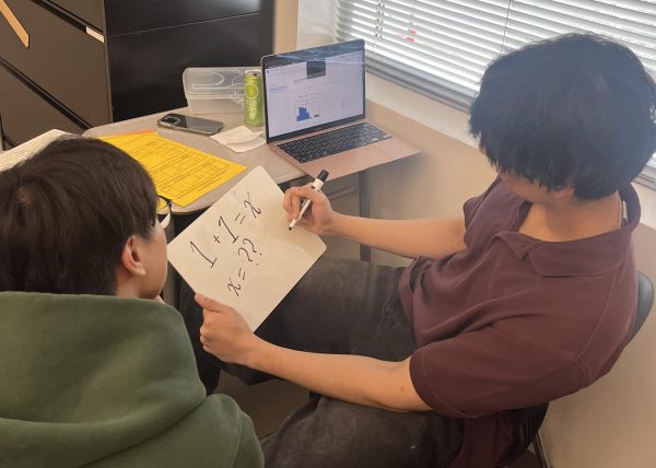 Avaneesh Parasnis assisting fellow student Lamson Tran in solving a math problem