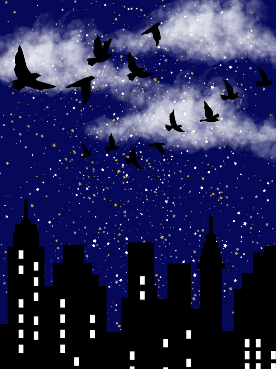 A visual representation of birds migrating over big cities at night.