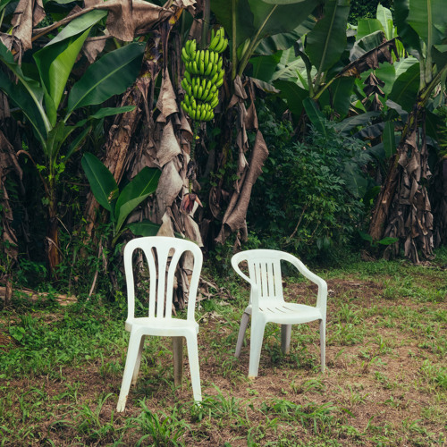 The DeBÍ TiRAR MáS FOToS album cover, featuring two plastic white chairs placed in front of a large banana tree. 