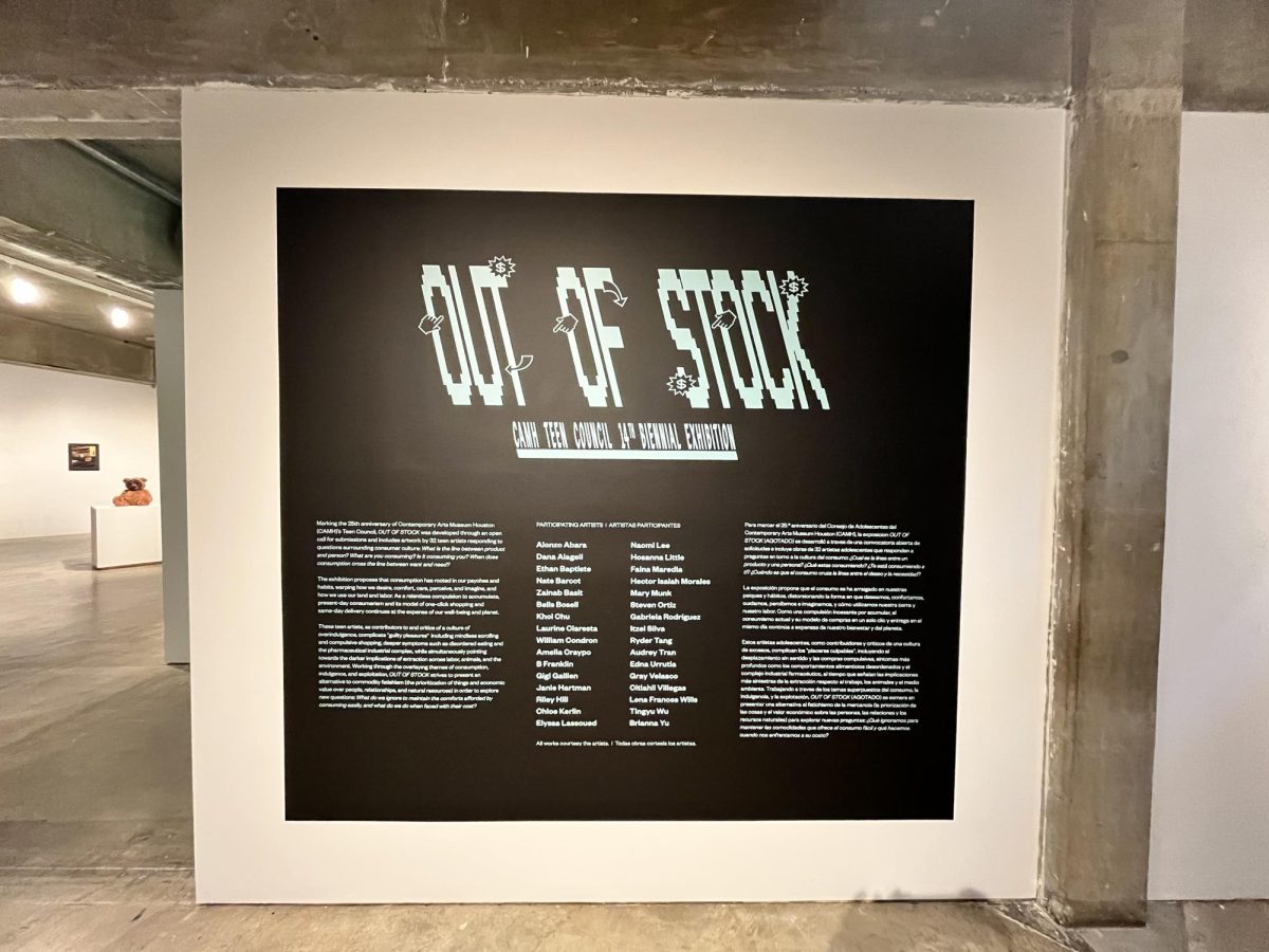The wall at the Houston Contemporary Arts Museum showing a short Out of Stock introduction. 